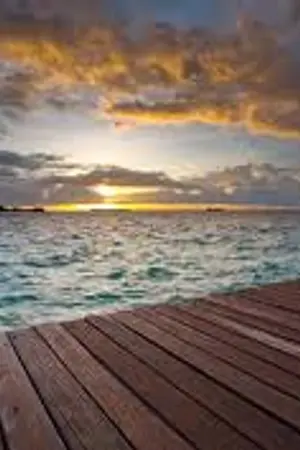 ปกนิยาย รักนี้...ต้องมีกัน