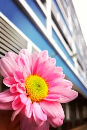 ปกนิยาย Blood, Beer, Breath