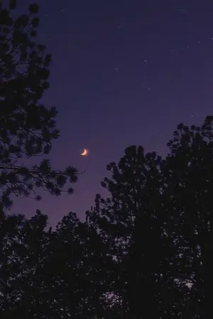 ปกนิยาย ผมเป็นยมทูตครับ