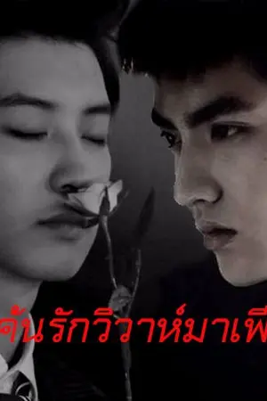 ปกนิยาย