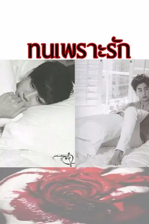 ปกนิยาย [GOT7] ทนเพราะรัก - MARKBAM [YAOI]