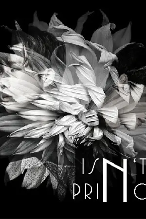 ปกนิยาย [INFINITE] isn't princes {gyuwoo}