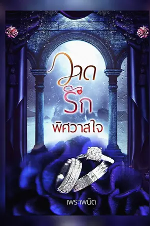 ปกนิยาย วาดรักพิศวาสใจ