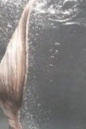 ปกนิยาย ☸ Mermaid ☸ BTS │VMIN NAMJIN KOOKGA