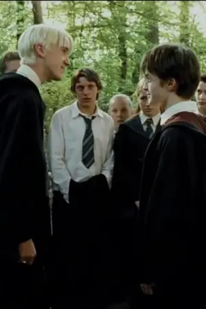 ปกนิยาย [OS/SF] Draco x Harry | [dm/hp]