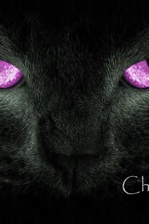 ปกนิยาย CHARMING  CAT { นางแมวยั่วสวาท }