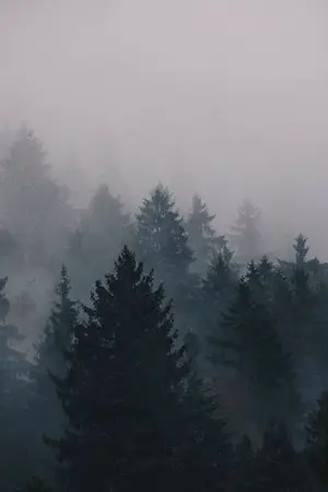 ปกนิยาย Blackhockwood 