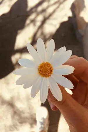 ปกนิยาย Cute Mean You #น่ารักแปลว่าคุณ