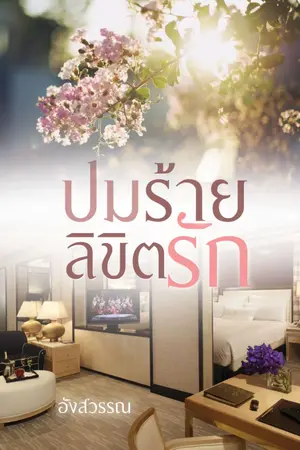 ปกนิยาย