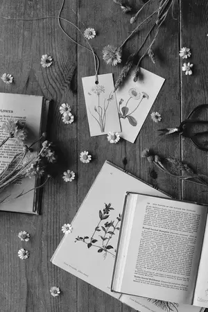 ปกนิยาย [Rewrite][SEVENTEEN X YOU ] DIARY OF A [MY ไดอารี่ของฉัน[END]