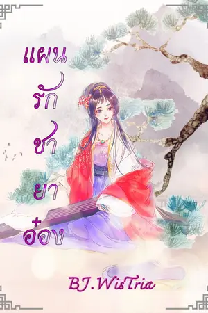 ปกนิยาย แผนรักชายาอ๋อง (1+2)(จบ)