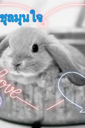 ปกนิยาย รักวุ่นชุลมุนใจ