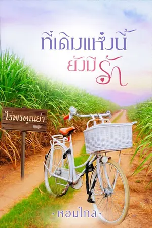 ปกนิยาย