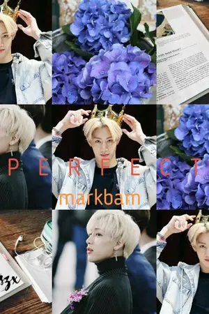 ปกนิยาย PERFECT [MARKBAM]