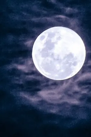 ปกนิยาย Find Me to The Moon