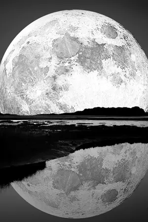 ปกนิยาย Love in the moonlight รักเราพระจันทร์เป็นใจ