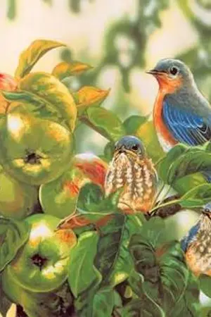 ปกนิยาย ก็แค่คลังเก็บข้อมูล