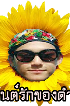 ปกนิยาย [SEVENTEEN] MINGYU X HOSHI  #มนต์รักของดำ (MINSOON)