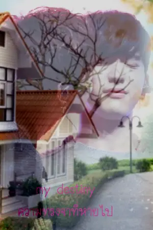 ปกนิยาย my destiny ความทรงจำที่หายไป