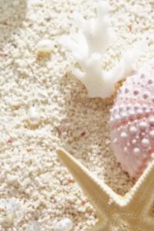 ปกนิยาย My heart made for you คุณหนูพบรัก