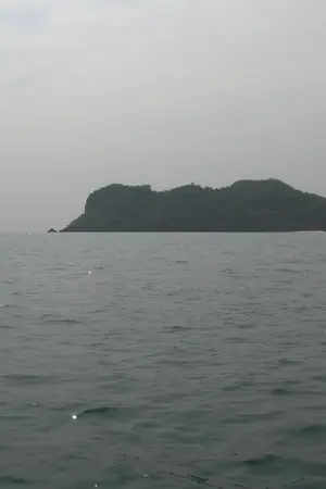 ปกนิยาย ทางนํ้าต้องสาป