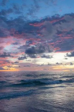 ปกนิยาย nicotine