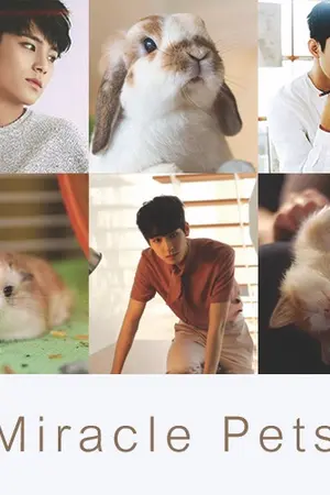 ปกนิยาย [SEVENTEEN] Miracle Pets