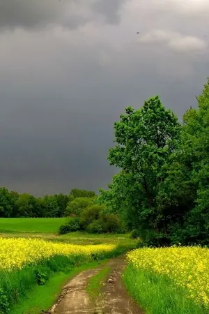 ปกนิยาย โลกวันฟ้าสีเทา