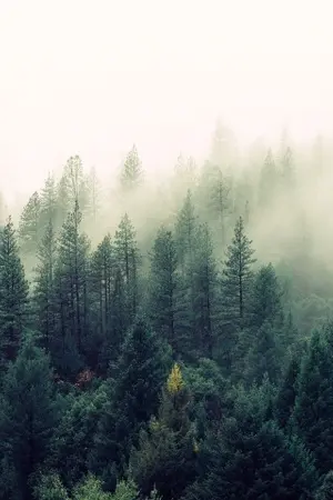 ปกนิยาย I FEEL YOU | ChanBaek