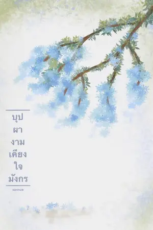 ปกนิยาย