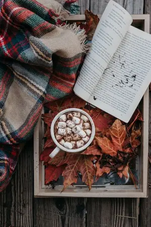 ปกนิยาย BTS | Wonderlust [ALLV] #บทวดล