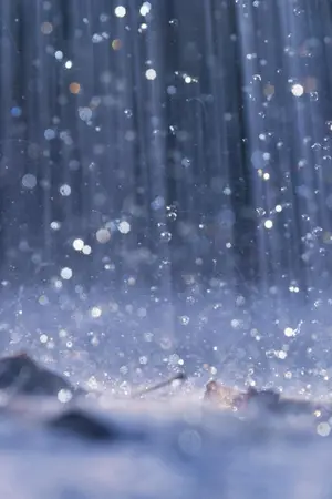 ปกนิยาย {wanna one} on rainy day | seongwu x daniel #ongniel