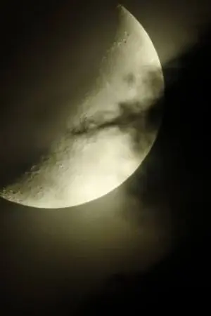 ปกนิยาย กลุ่มเงาพระยาจันทร์เสี้ยว (ซอมบี้)