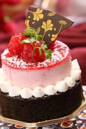 ปกนิยาย เด็กสาวธรรมดาVSแอพฯปีศาจ