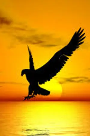 ปกนิยาย Freedom world online