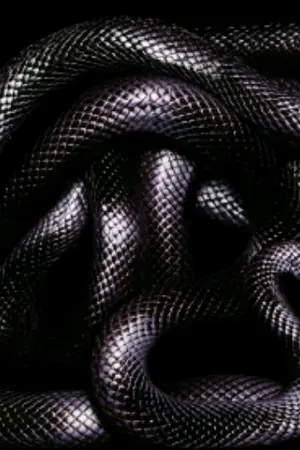 ปกนิยาย [FIC HARRY POTTER] [TMR /OC]