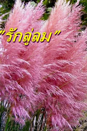 ปกนิยาย รักลู่ลม