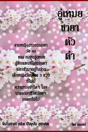 ปกนิยาย