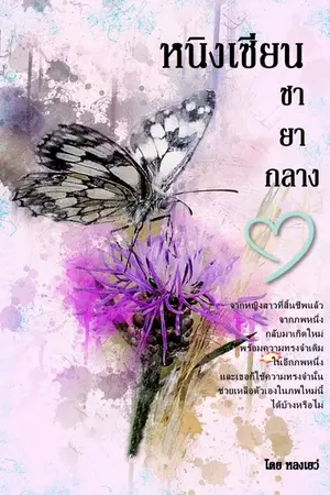 ปกนิยาย