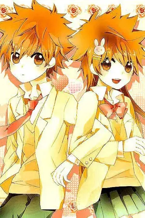 ปกนิยาย FANFIC Katekyo Hitman Reborn ตำนานสองนภา