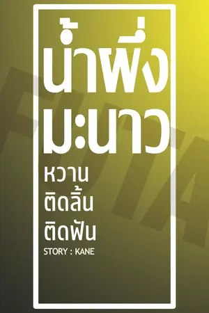 ปกนิยาย