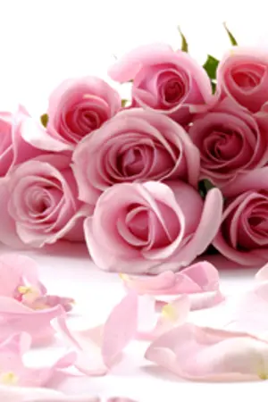 ปกนิยาย เล่ห์ร้ายบ่วงมาเฟีย (มาร์คัส+ญาณิสา)