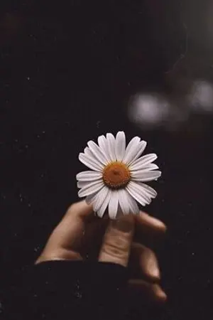 ปกนิยาย ใครคนนั้น...คือฉันได้ไหม