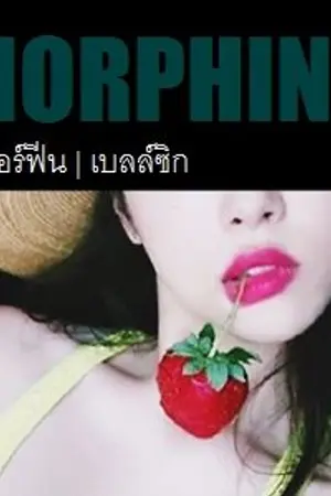 ปกนิยาย