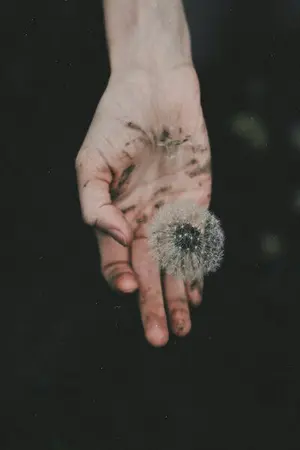 ปกนิยาย [SF:OS]  ChanBaek ft:EXO