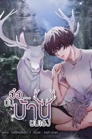 ปกนิยาย อ๋อ...นั่นบ้านผมเอง