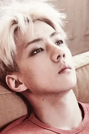ปกนิยาย (KAIHUN) | ♡｡ Muddle *☪｡
