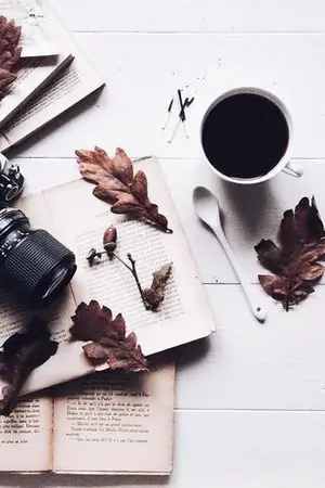 ปกนิยาย LOVE LENSE | MARKNO