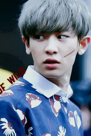 ปกนิยาย King of wild #ฟิคคิงไวด์ชบ