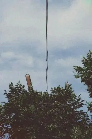 ปกนิยาย My world is brighter by it self🌻